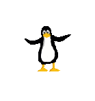animated penguin