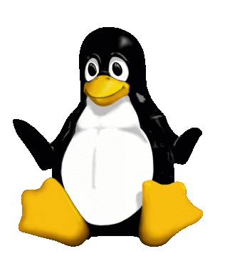 silly penguin